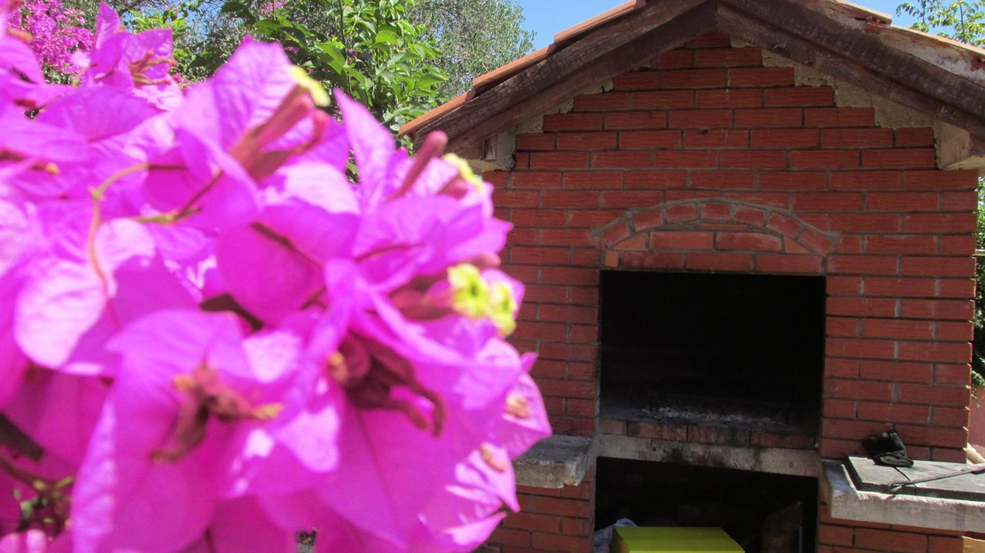 Apartmani Carmen Bibinje Ruang foto